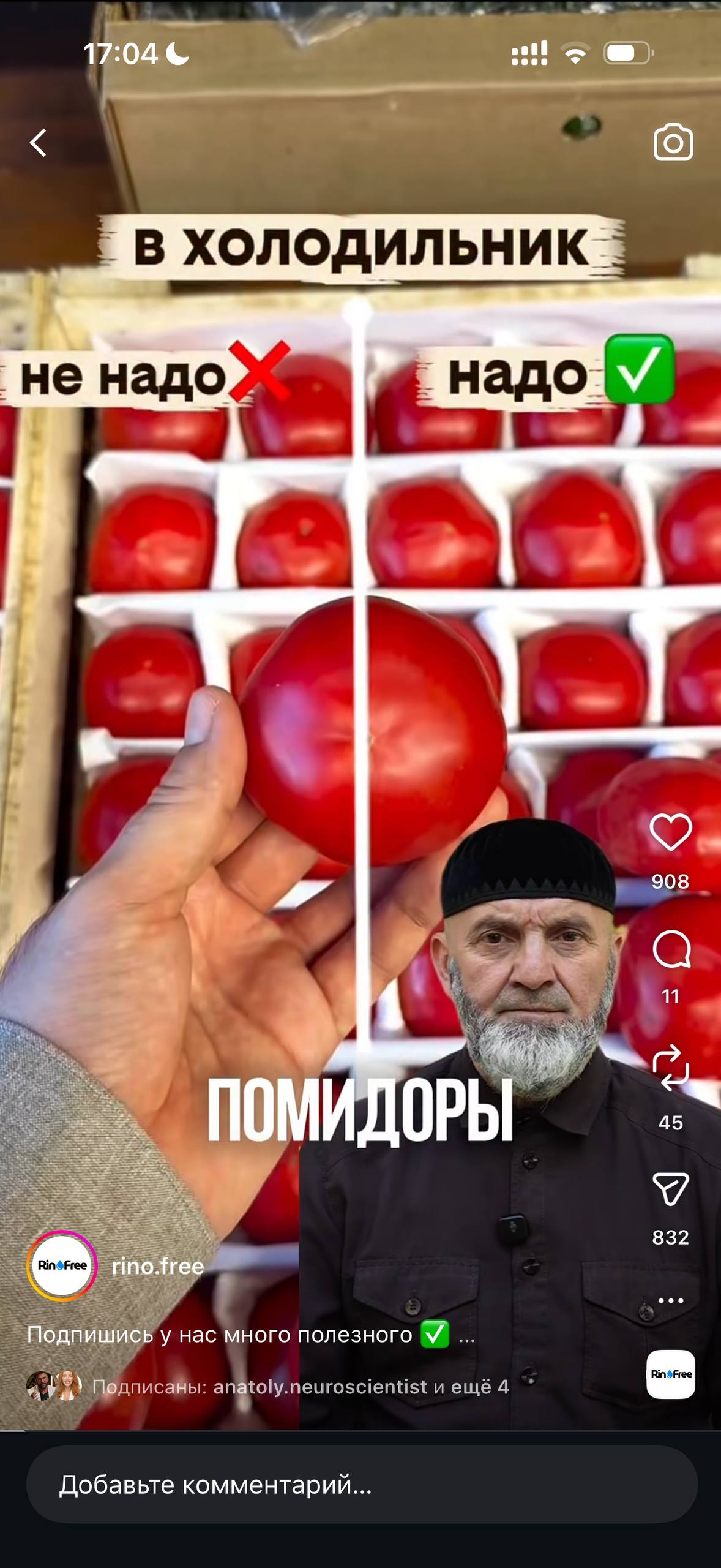 Рилс @rino.free — образовательный контент